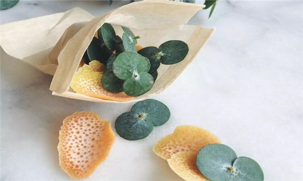 橘子皮泡水 橘子皮泡水喝有什么好處