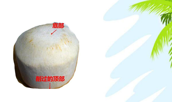 青椰子的三個孔怎么找，青椰子怎么