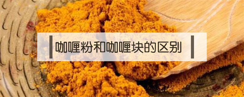 咖喱粉和咖喱塊的區別