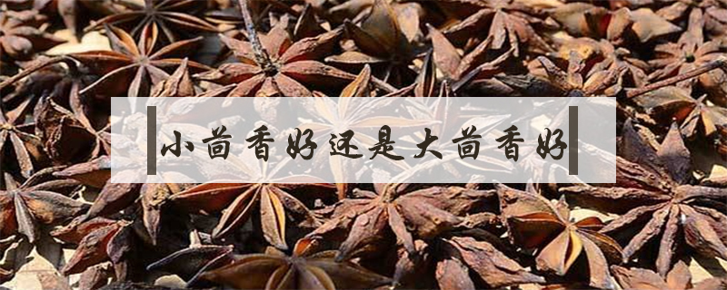 小茴香好還是大茴香好