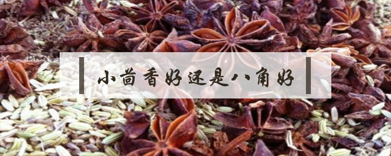 小茴香好還是八角好