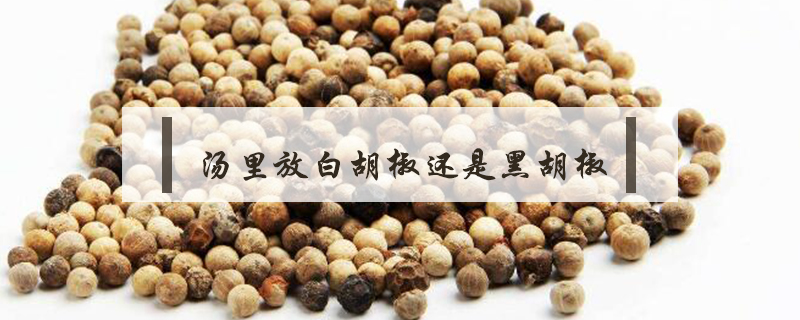 湯里放白胡椒還是黑胡椒