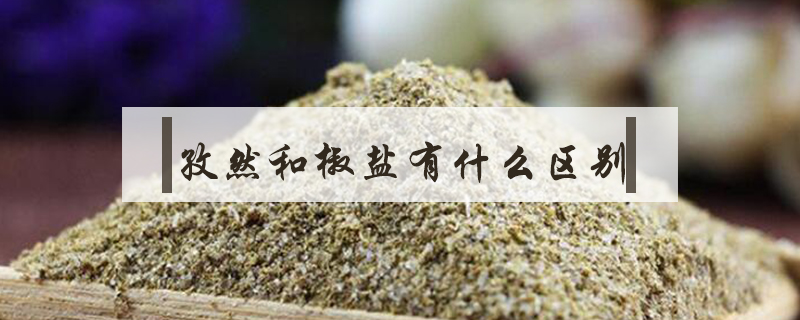 孜然和椒鹽有什么區(qū)別