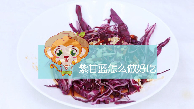 紫甘藍怎么做好吃