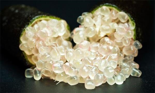 澳洲指橙什么季節(jié)有，澳洲指橙需要修枝嗎