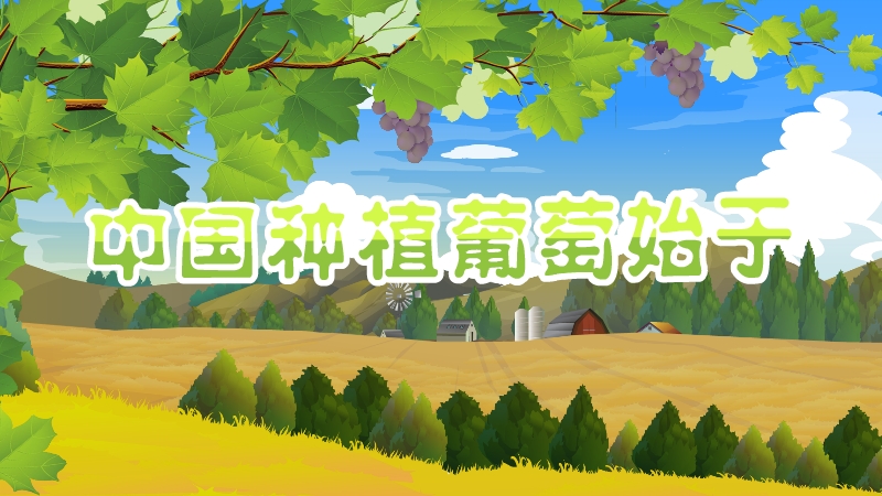 中國種植葡萄始于