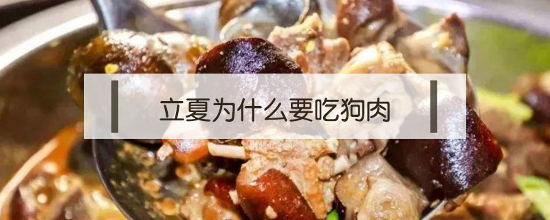 立夏為什么要吃狗肉