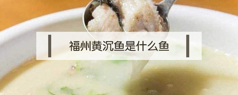 福州黃沉魚是什么魚