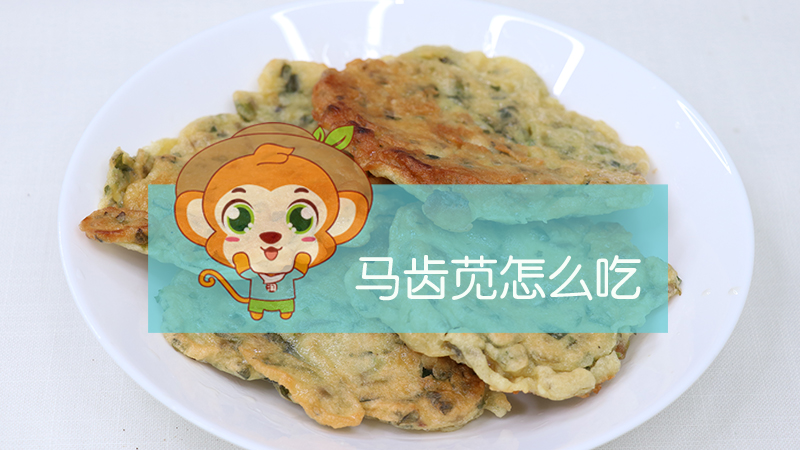 馬齒莧怎么吃