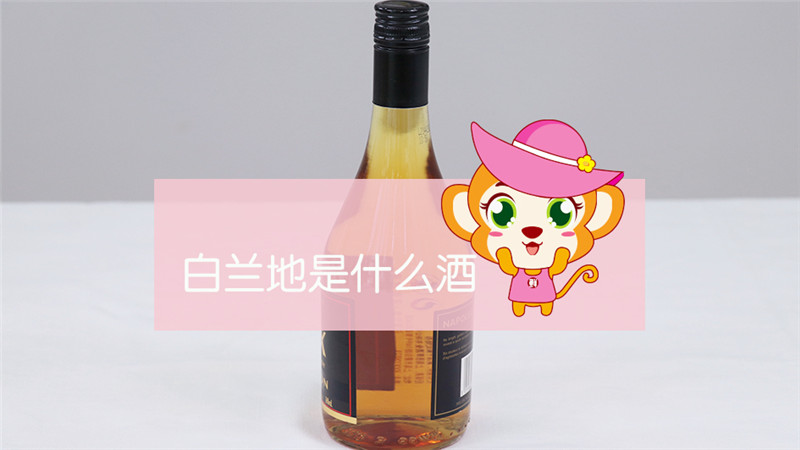 白蘭地是什么酒