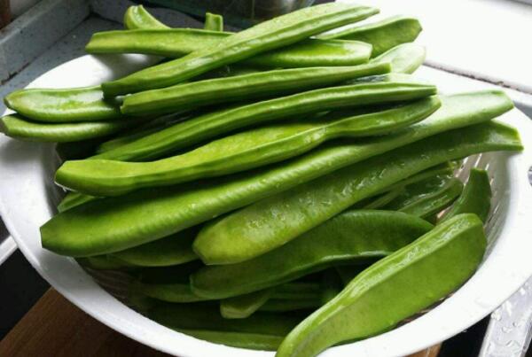 四季豆是什么豆角，和四季豆長得像是什么豆角