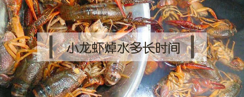 小龍蝦焯水多長時間