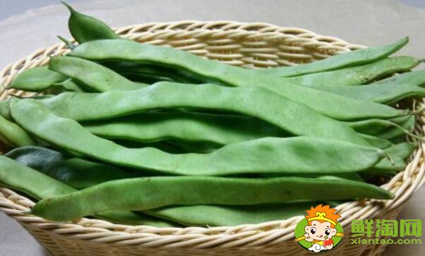 扁豆什么品種好，最大的扁豆品種