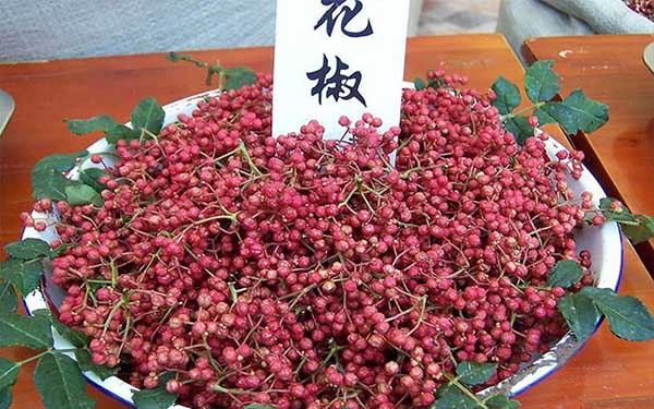 花椒葉有刺嗎，無刺花椒和有刺花椒那個產量高