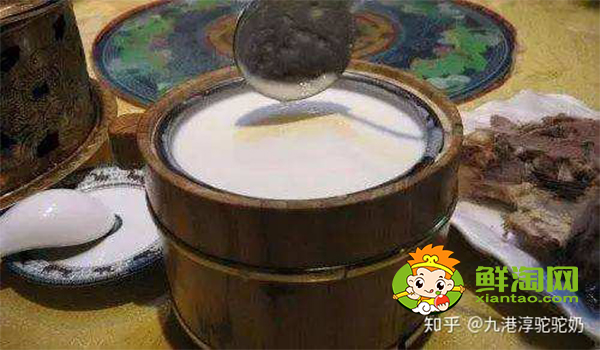 喝駱駝奶會上火嗎，駱駝奶怎么喝用燒開嗎
