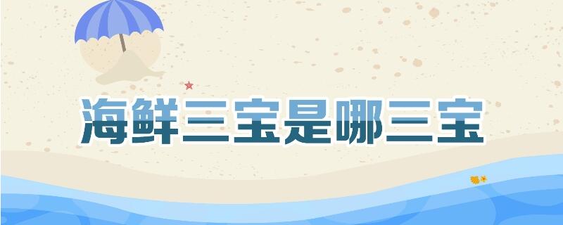 海鮮三寶是哪三寶