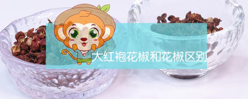 大紅袍花椒和花椒區(qū)別