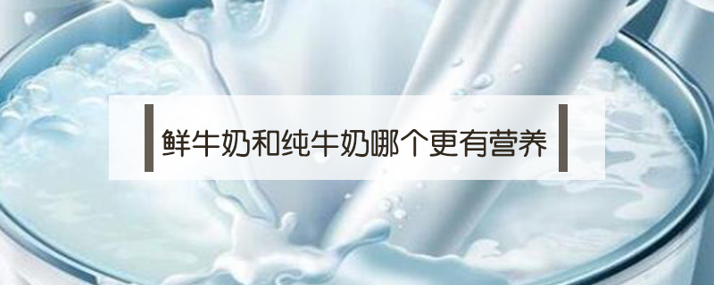 鮮牛奶和純牛奶哪個更有營養