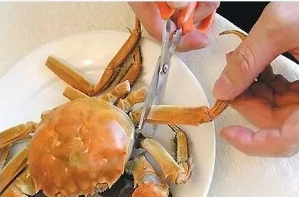 螃蟹哪里不能吃高清圖，螃蟹的吃法剝法圖解