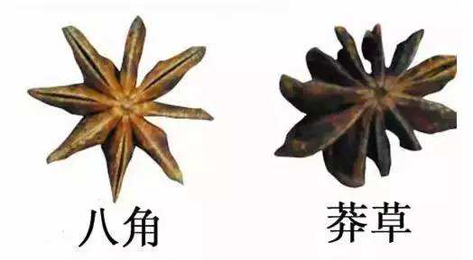 大料的真假如何區(qū)分，大料的價格與等級區(qū)分