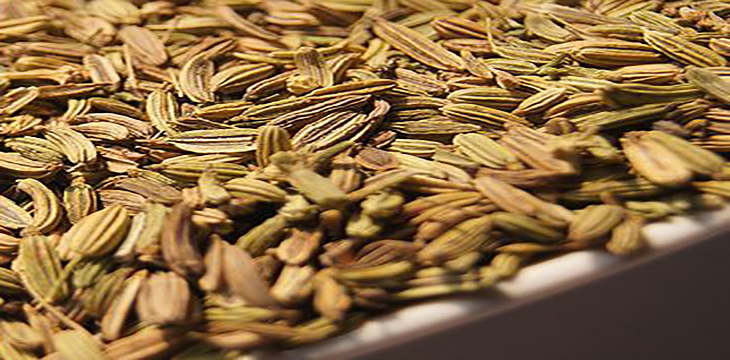 八角茴香怎么挑選，小茴香和八角茴香的區(qū)別
