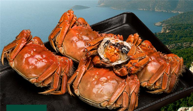 黃河口大閘蟹最佳季節(jié)，黃河口大閘蟹和陽澄湖大閘蟹的區(qū)別