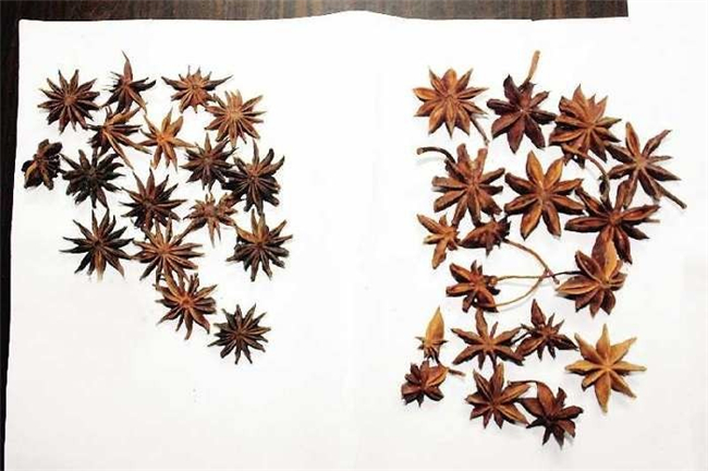 假八角中毒了怎么辦，吃了莽草怎么解毒