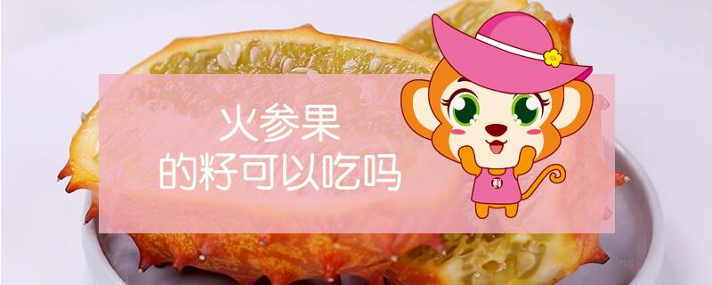 火參果的籽可以吃嗎
