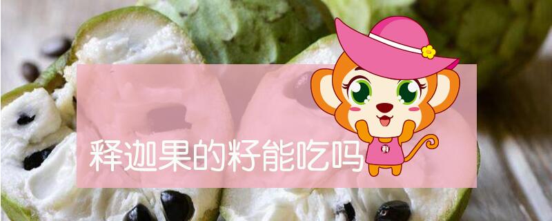釋迦果的籽能吃嗎