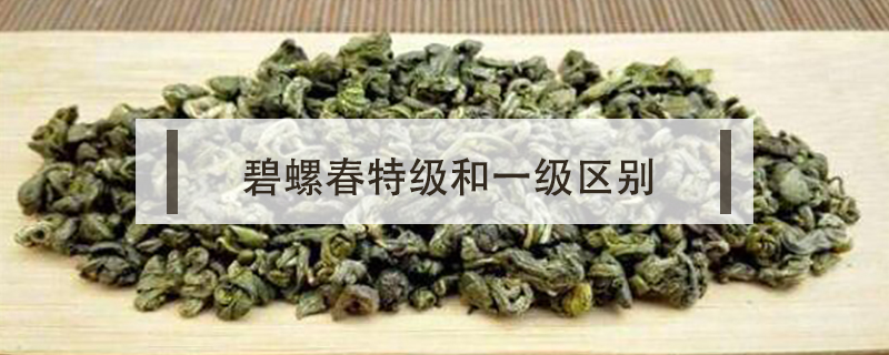碧螺春特級和一級區(qū)別