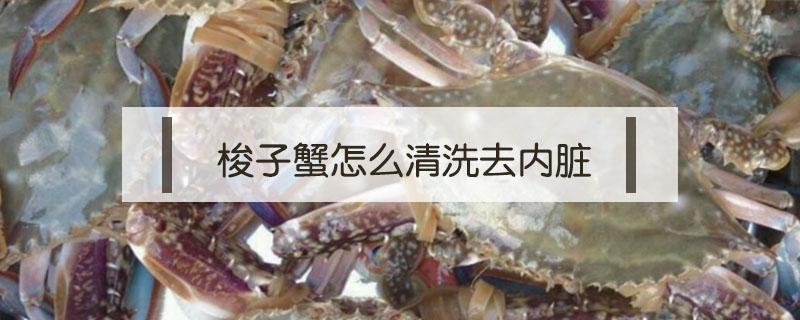 梭子蟹怎么清洗去內臟