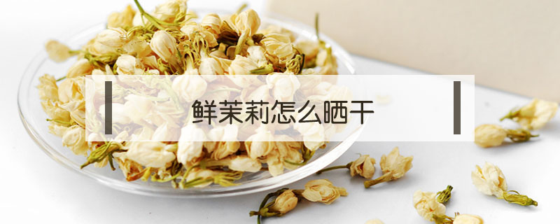 鮮茉莉怎么曬干