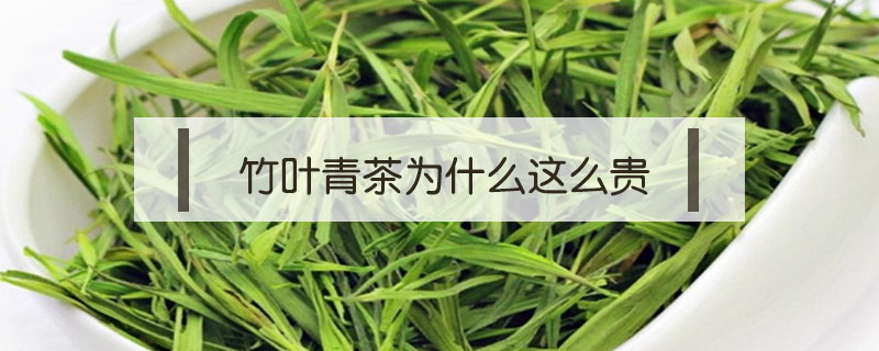 竹葉青茶為什么這么貴