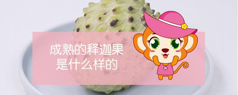 成熟的釋迦果是什么樣的