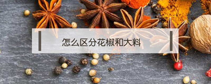 怎么區(qū)分花椒和大料