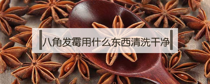 八角發(fā)霉用什么東西清洗干凈