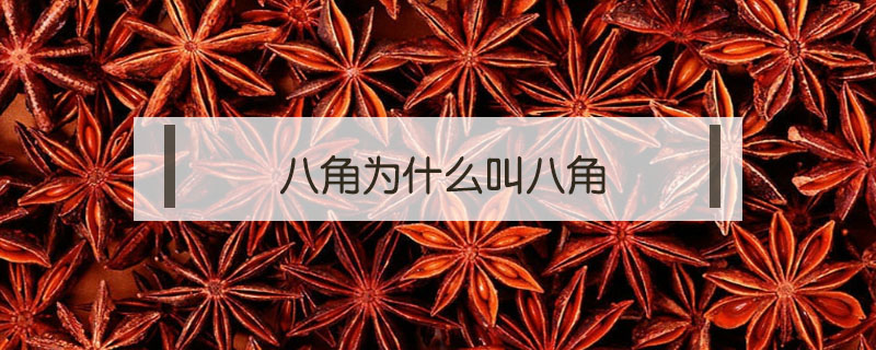 八角為什么叫八角