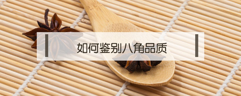 如何鑒別八角品質(zhì)