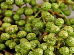 藤椒油做什么菜好吃，哪些菜適合鮮椒藤椒味