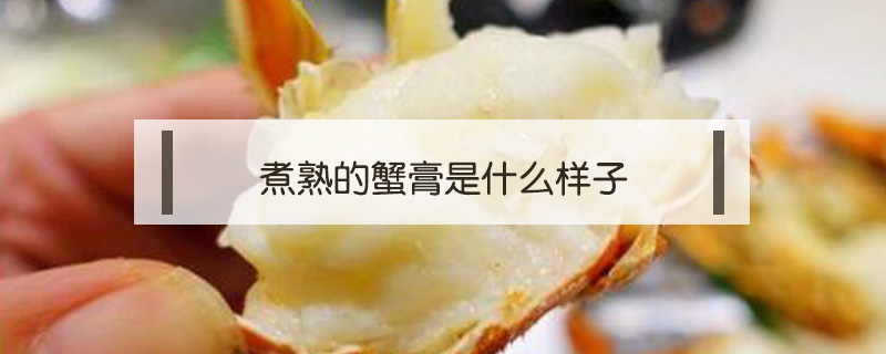 煮熟的蟹膏是什么樣子