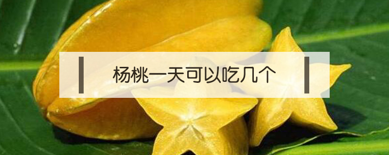 楊桃一天可以吃幾個