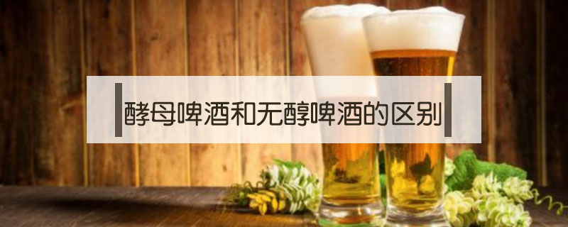 酵母啤酒和無醇啤酒的區(qū)別