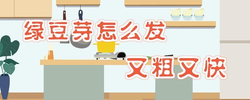 綠豆芽怎么發又粗又快