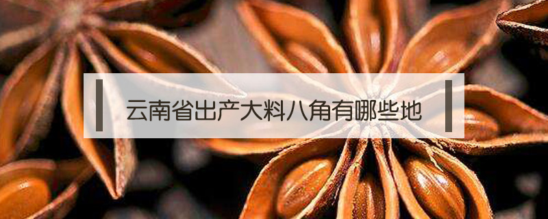 云南省出產(chǎn)大料八角有哪些地方