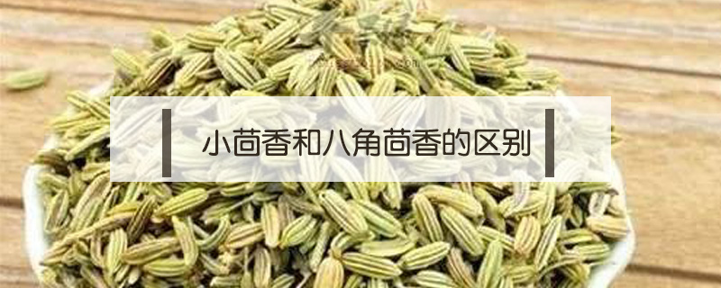 小茴香和八角茴香的區別