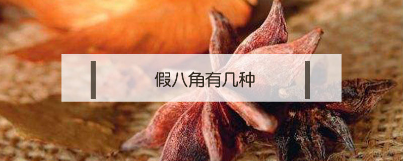 假八角有幾種