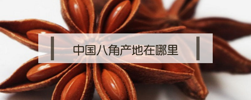中國八角產地在哪里