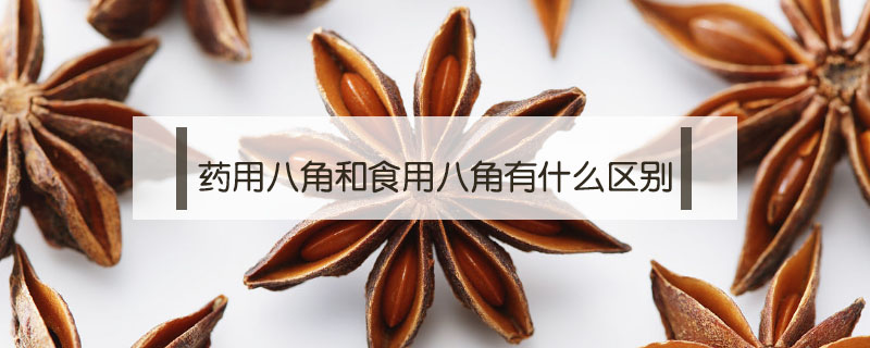 藥用八角和食用八角有什么區(qū)別