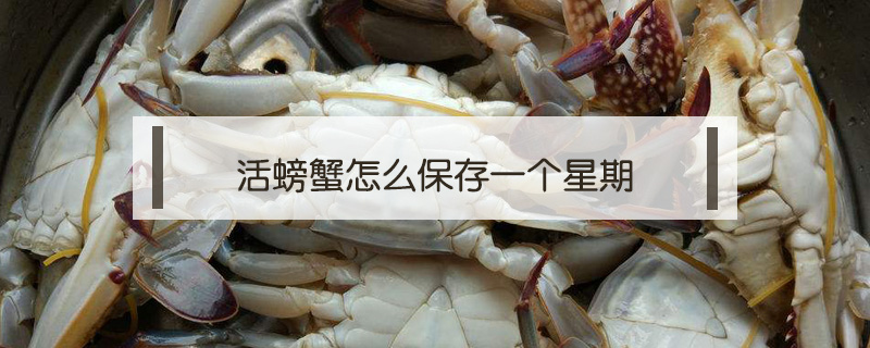 活螃蟹怎么保存一個星期
