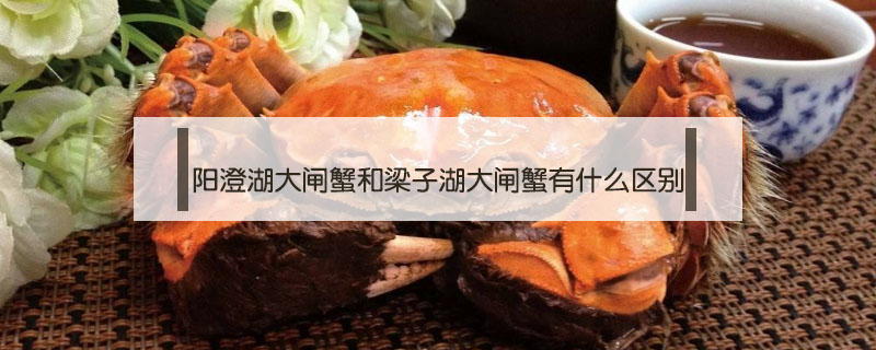 陽澄湖大閘蟹和梁子湖大閘蟹有什么區(qū)別